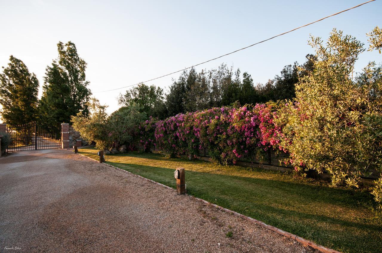 Casalventodimare E Tramontana Bed & Breakfast Montalto di Castro Bagian luar foto